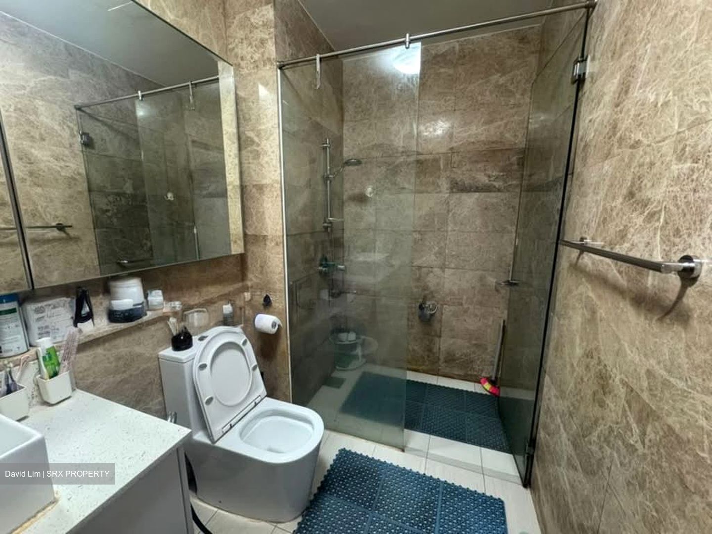 Boathouse Residences (D19), Condominium #556471601